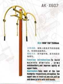 寧波健身器材全解析 從廠家直銷到代理銷售一站式指南